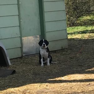 Meet your Posher, Charles